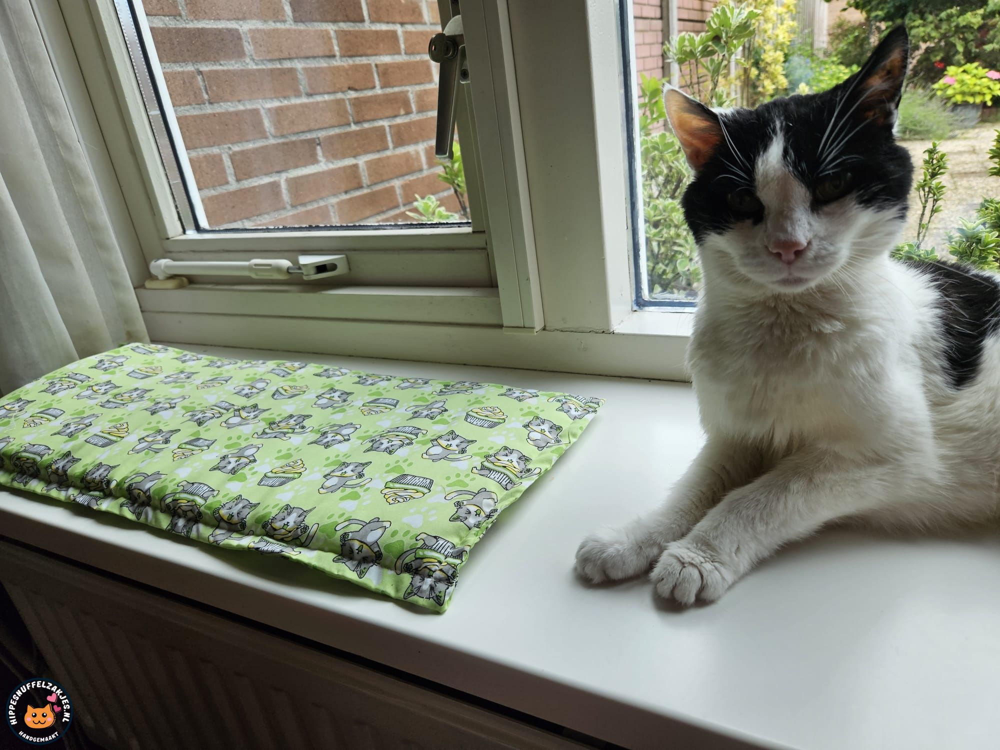 Vensterbankkussen Cupcake Cat groen 26x60 (gevuld met catnip)