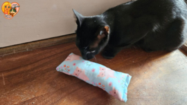 😻Blauw Snuffelzakje Gym Senior Kat – Soepel Blijven met Catnip, Valeriaan & Matatabi 🐾💛