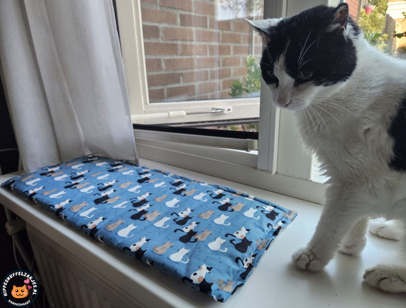 Vensterbankkussen Prachtige kat (blauw) 26x60 (ZONDER GEUR)