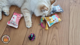 3 Snuffelzakjes Poekie Verrassing + 3 cadeautjes (gevuld met mix van catnip én valeriaan )