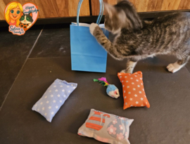 ✨ Kittenpakket 4-delig – Hippe Snuffelzakjes met Catnip, Valeriaan & Matatabi + Speelmuis