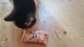 Snuffelzakje Lovely (gevuld met matatabi & catnip)