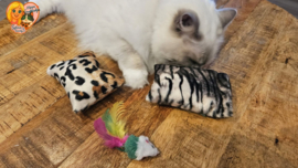❤️ MEEST VERKOCHT | Verrassingsset voor Katten 2 Snuffelzakjes Wild animals+ Cadeautje | Geurexplosie Editie