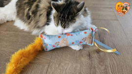 🎀 Snuffelzakjes Langwerpig met Staart & Lintjes