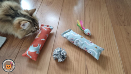 2 delige set snuffelzakjes gym Verrassing (gevuld met catnip en valeriaan) + 2 cadeautjes