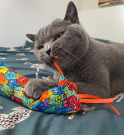 Snuffelzakje gym  Smile met oranje lintjes (gevuld met catnip én valeriaan)