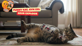 GROOT KATTENSPEELGOED/ Snuffelzak Gym XXL Funny cat (Gevuld met geurexplosie)