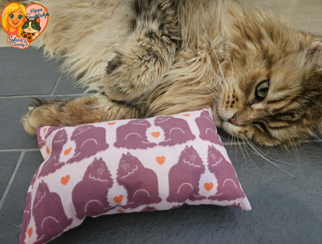 NIEUW/ Slaap/speelkussen Verliefde katten (gevuld met matatabi)