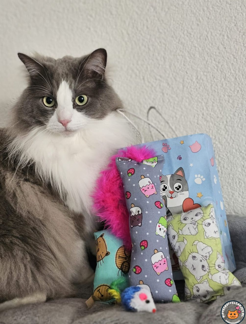 🎉 Feest in een Tasje – Vrolijke Verwenbox voor je Kat! 🎉