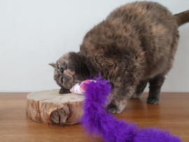 Snuffelzakje gym Happy Pink met staart (catnip én valeriaan)