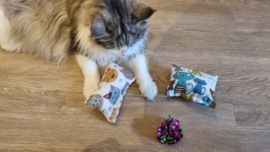 DAGACTIE 2 delige set snuffelzakjes verrassing ( gevuld met catnip) + 2 cadeautjes