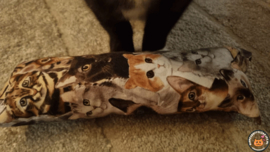 STUNTAANBIEDING MAANDAG Snuffelzak Gym XXL  Knappe kat (gevuld met catnip)