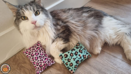 NIEUW/ 2 Snuffelzakjes Vrolijke Panter (gevuld met catnip én valeriaan)