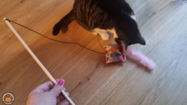 Pakmedan Fantasy Cats met roze staart (gevuld met geurexplosie, knisper en belletje)