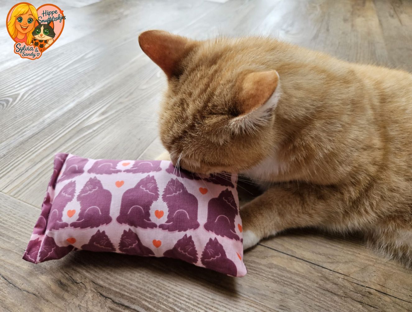 NIEUW/ Slaap/speelkussen Verliefde katten (gevuld met catnip én valeriaan)