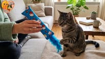 😻 Snuffelzakje met Fladderstaart – Catnip Kattenspeelgoed 🐾🌿
