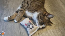 Snuffelzakje Extra stevige stof (gevuld met geurexplosie)