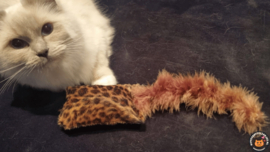 NIEUW/ Snuffelzakje  Wild animals met staart (gevuld met catnip én valeriaan)