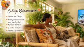 🧡🐱 CATNIP RELAXKUSSEN – GOLDEN CAT 🐱🧡