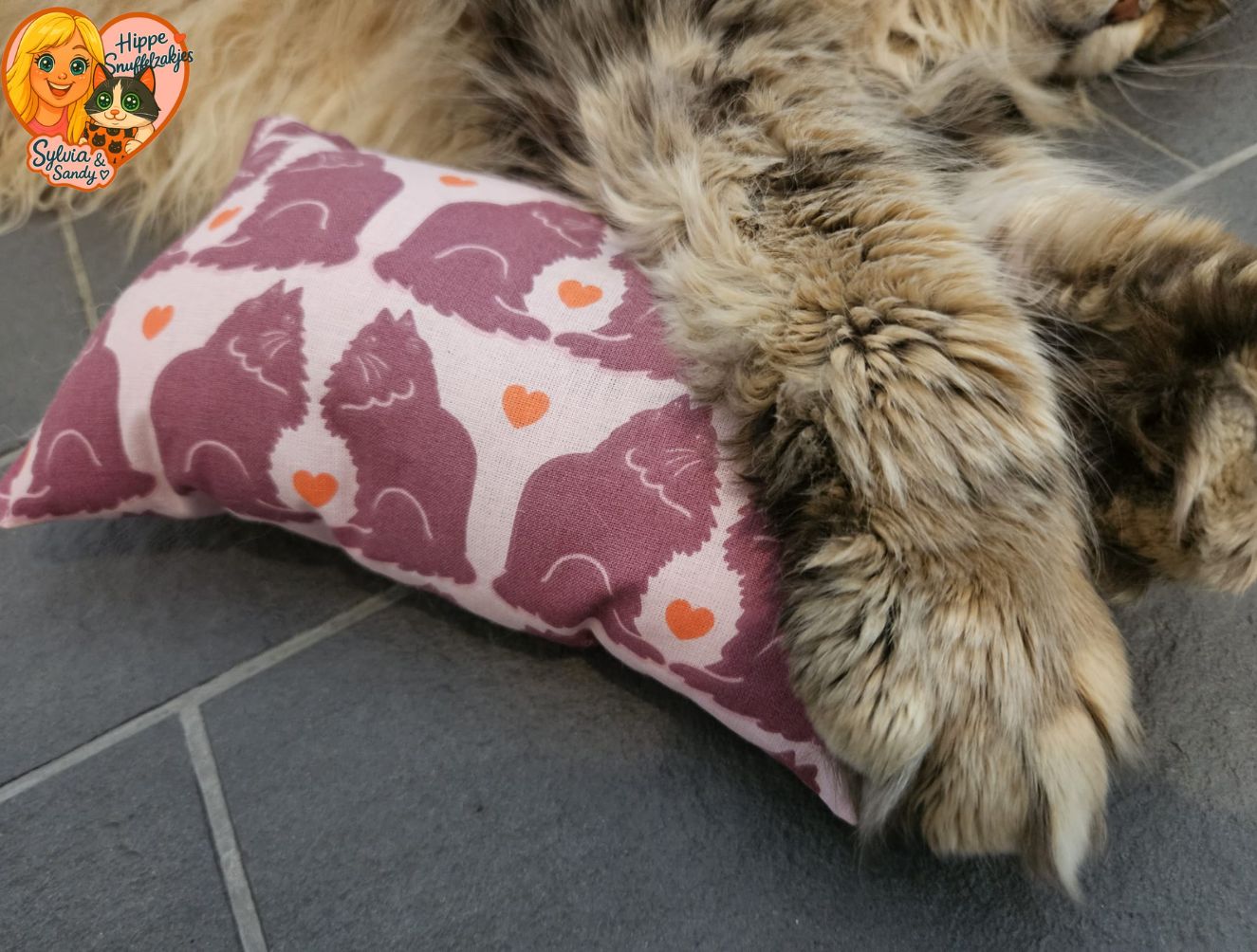 NIEUW/ Slaap/speelkussen Verliefde katten (gevuld met matatabi)