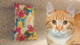 NIEUW/ Snuffelzakje Vrolijke Papagaai (gevuld met catnip én valeriaan)