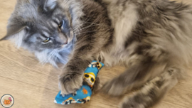 NIEUW/ Snuffelzakje Vrolijke schildpad (gevuld met catnip én valeriaan)