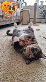 Snuffelzakje Geurexplosie β Anti-Verveling Speeltje voor Katten πΎπ»