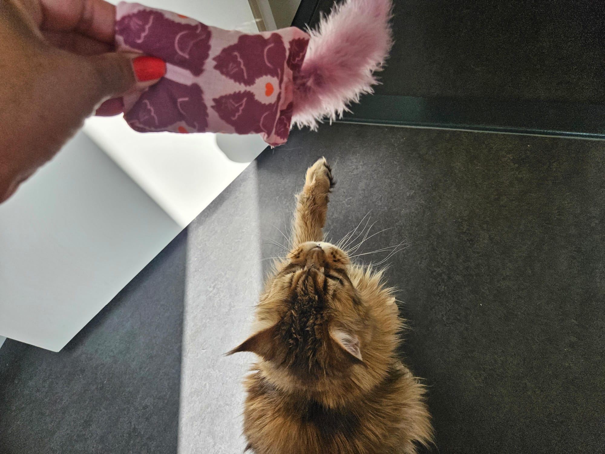 NIEUW/ Snuffelzakje  Verliefde katten met staart (gevuld met geurexplosie)