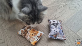 NIEUW/ 2 snuffelzakjes Knappe katten (gevuld met geurexplosie)