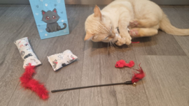 Cadeauset/  Kattenfeestje in het THEMA ROOD
