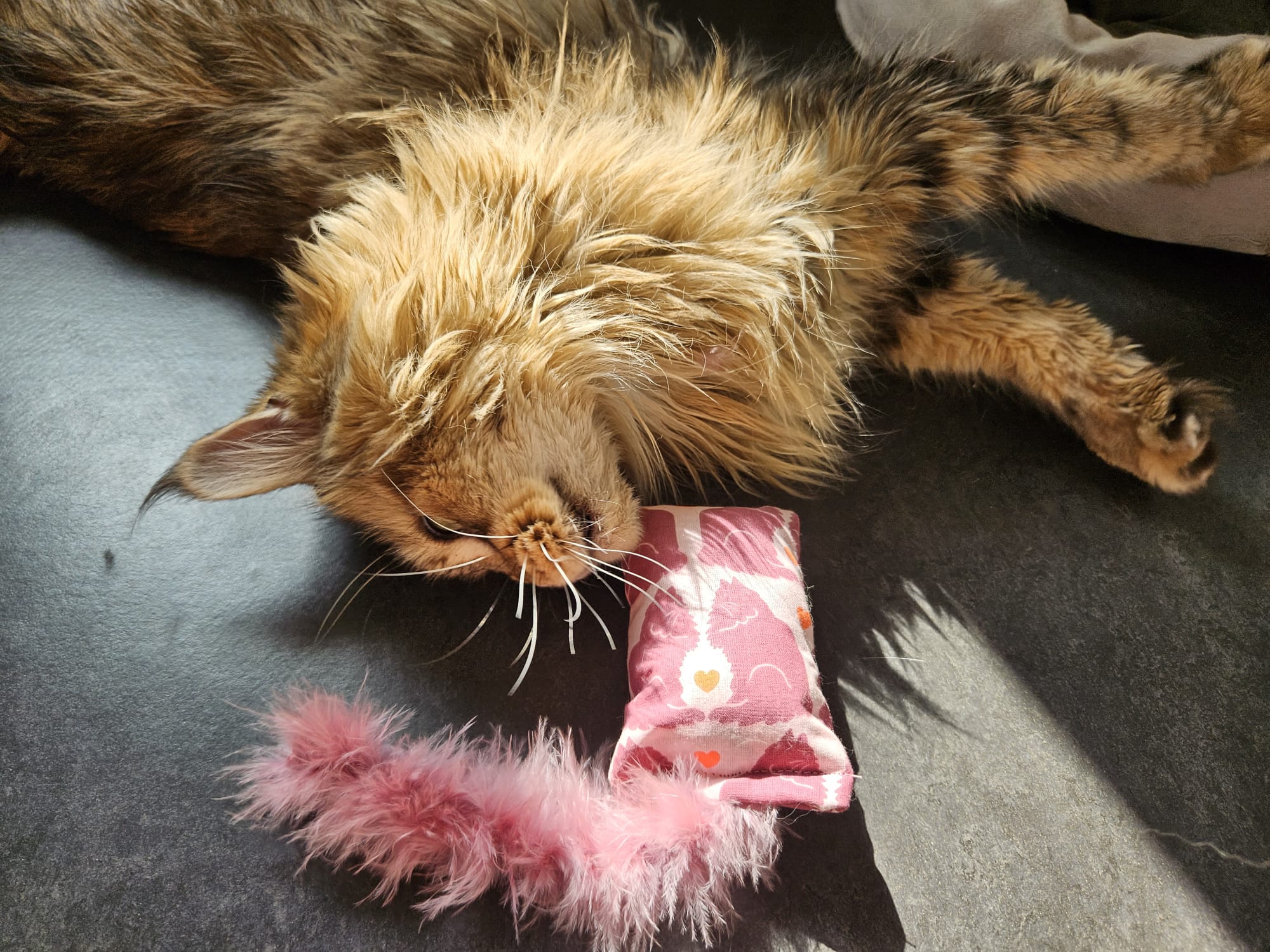 NIEUW/ Snuffelzakje  Verliefde katten met staart (gevuld met geurexplosie)