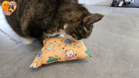 😻 GROOT KATTENSPEELGOED “Tommie” – Slaap & Speelkussen met Matatabi 🐾💤