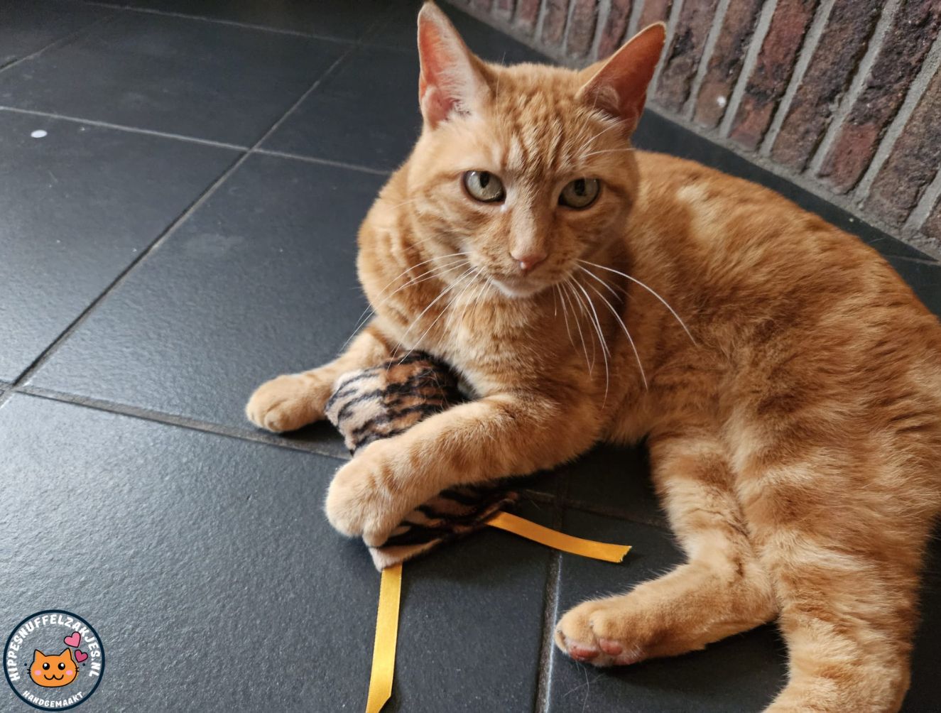 NIEUW/ Snuffelzakje  Wild animals met lintjes (gevuld met valeriaan)