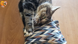 😺 Fanatieke Katten GeurKick XL Extra stevig speel- en slaapkussen met catnip, valeriaan & matatabi