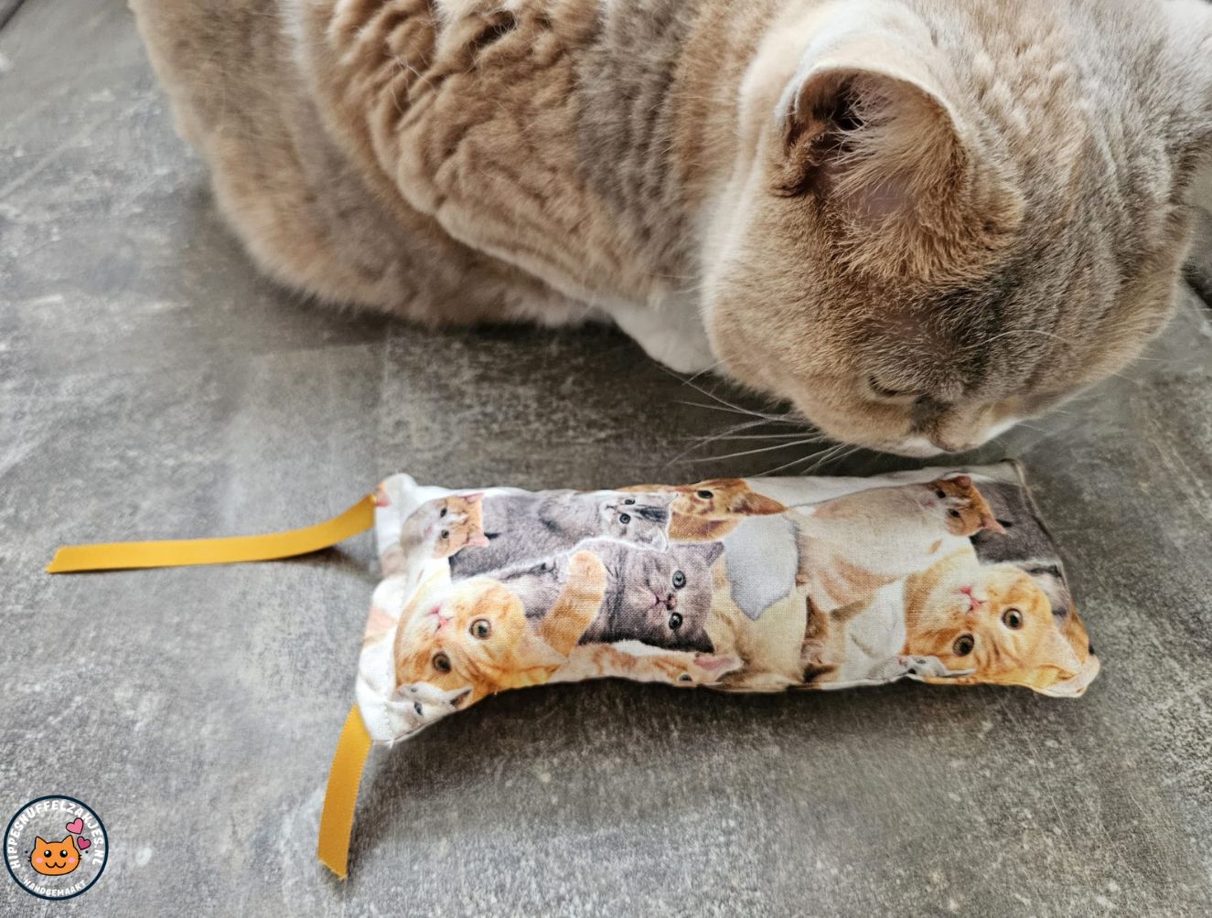 Snuffelzakje gym Happy cat met lintjes (gevuld met valeriaan)