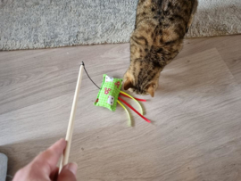 Pakmedan Hengel groene Fleurtje (gevuld met catnip én valeriaan, knisper en belletje)