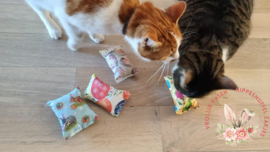 Vier snuffelzakjes Verrassing (gevuld naar wens)+ 1 cadeautje