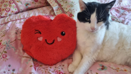STUNTPRIJS Rood snuffelhart met gezicht (gevuld met catnip én valeriaan)