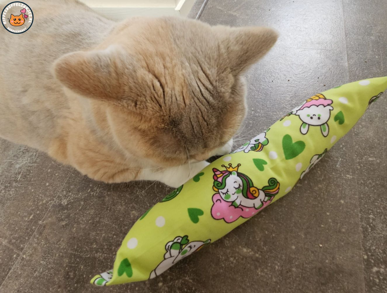 KENNISMAKINGSPRIJS Snuffelzak Gym XXL Eenhoorn(gevuld met catnip en valeraan)