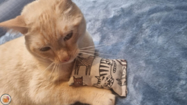 NIEUW/ Snuffelzakje Catilicious (gevuld met catnip én valeriaan)