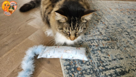 😺 Blue Bliss Snuffelzakje – Fladderstaart (Catnip & Valeriaan)