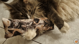 STUNTAANBIEDING MAANDAG Snuffelzak Gym XXL  Knappe kat (gevuld met catnip)
