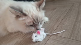 🐭 Pluche wit muisje – onweerstaanbaar kattenplezier!