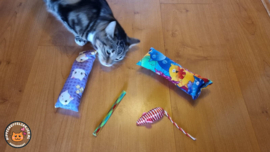 2 delige set snuffelzakjes gym Verrassing (gevuld met catnip ) + 2 cadeautjes