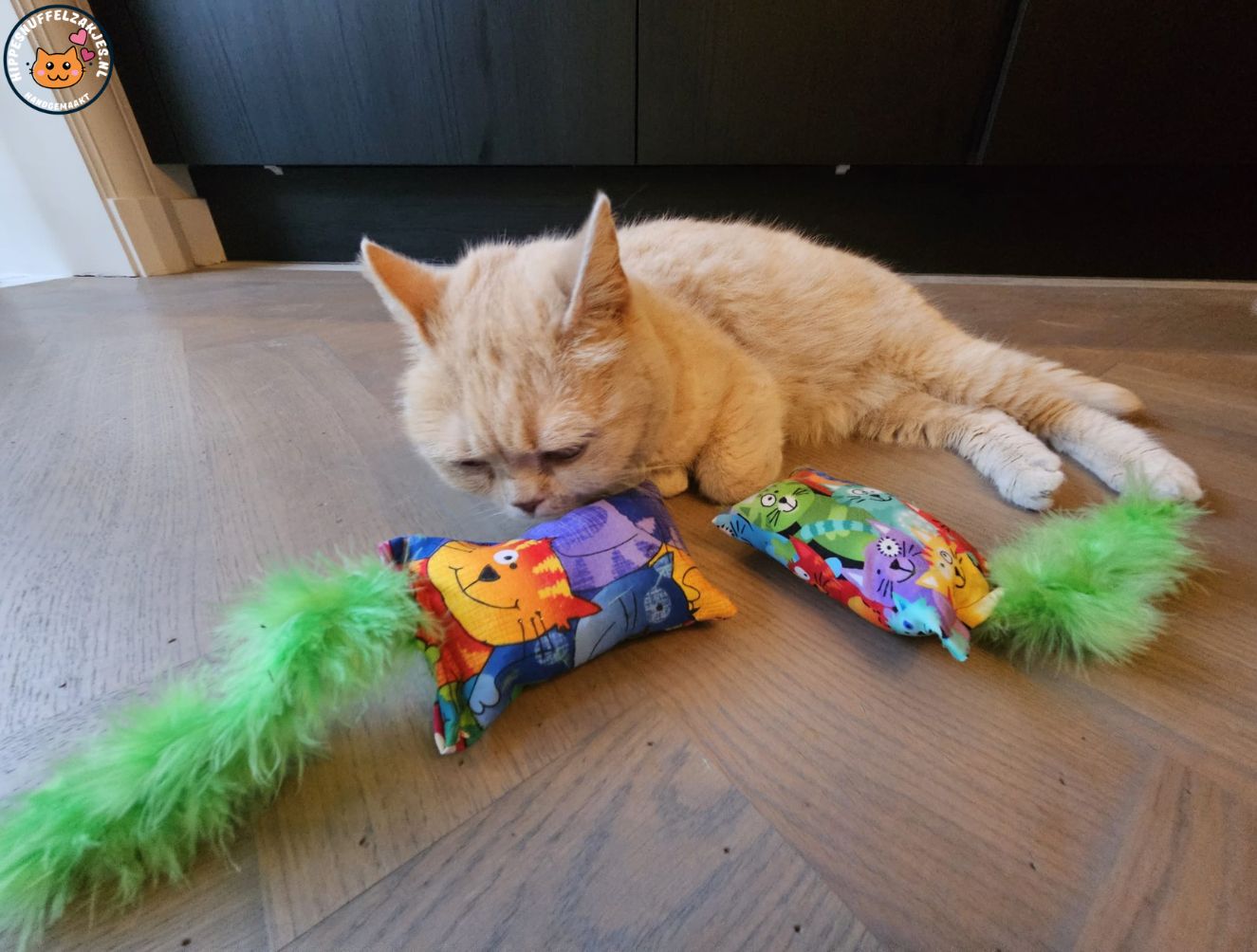 Snuffelzakje Geluid Vrolijke kat met groene staart  (gevuld met catnip, matatabi knisper)