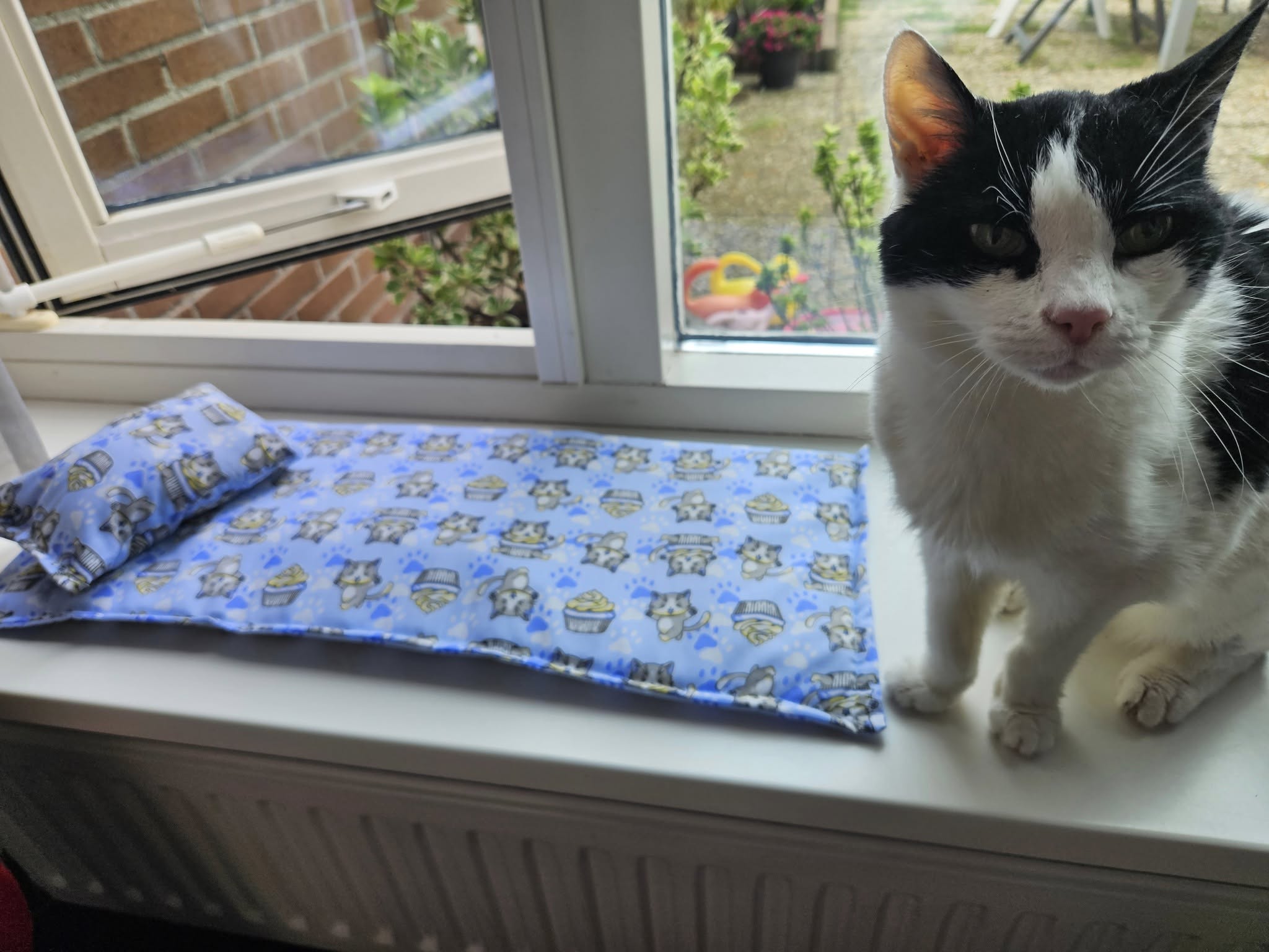 Vensterbankkussen Cupcake Cat  26x60 (gevuld met catnip én valeriaan)