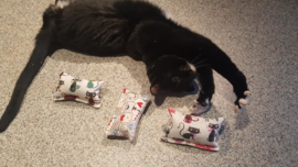 3 delige set snuffelzakjes verrassing (gevuld met catnip)+ 1 cadeautje