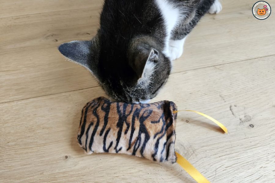 NIEUW/ Snuffelzakje  Wild animals met lintjes (gevuld met valeriaan)