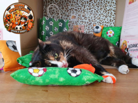 AANBIEDING🧡⚽️ WK Voetbal Mystery Bag voor katten 😻