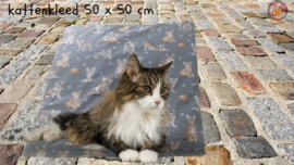 Kattenkleed Misty  50x50 (geur naar wens) 1 OP VOORRAAD